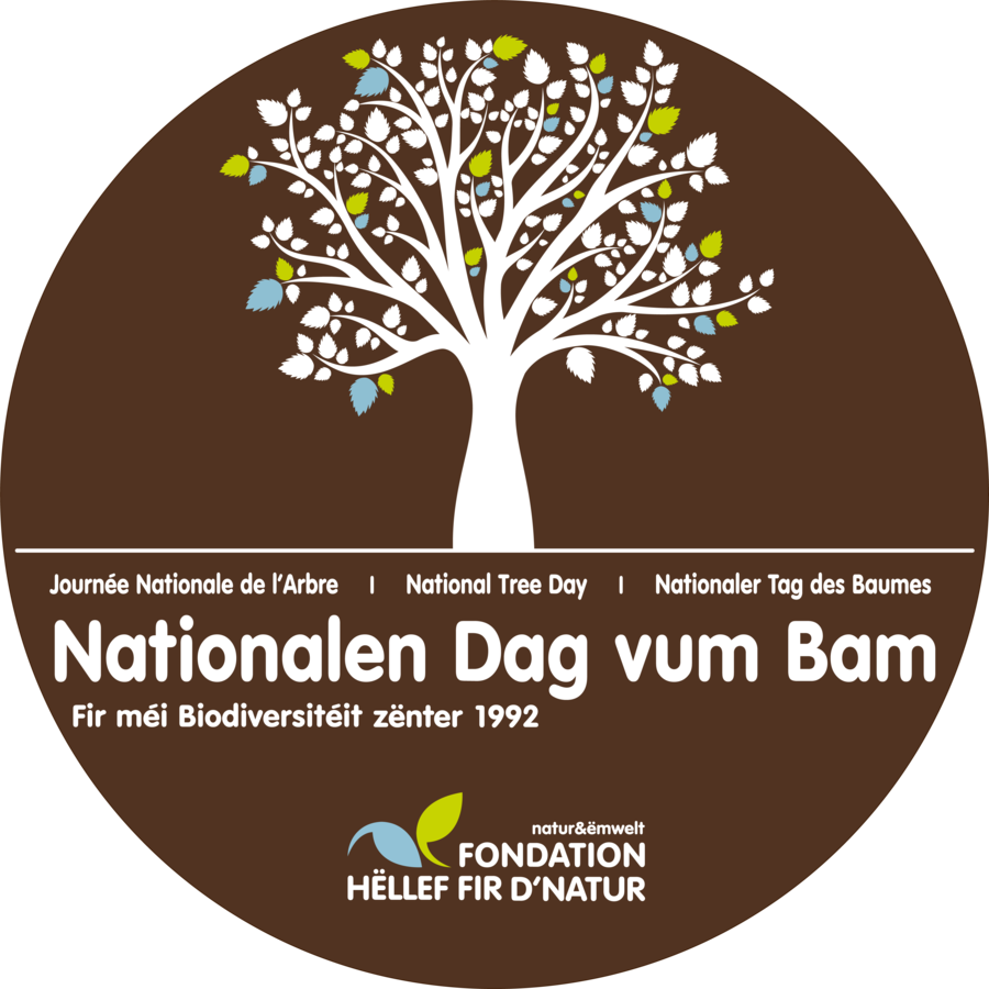 Image de l'événement Nationalen Dag vum Bam